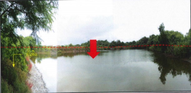ที่ดินเปล่า ถ.มิตรสัมพันธ์ บ้านบึก ชลบุรี  4 ไร่+