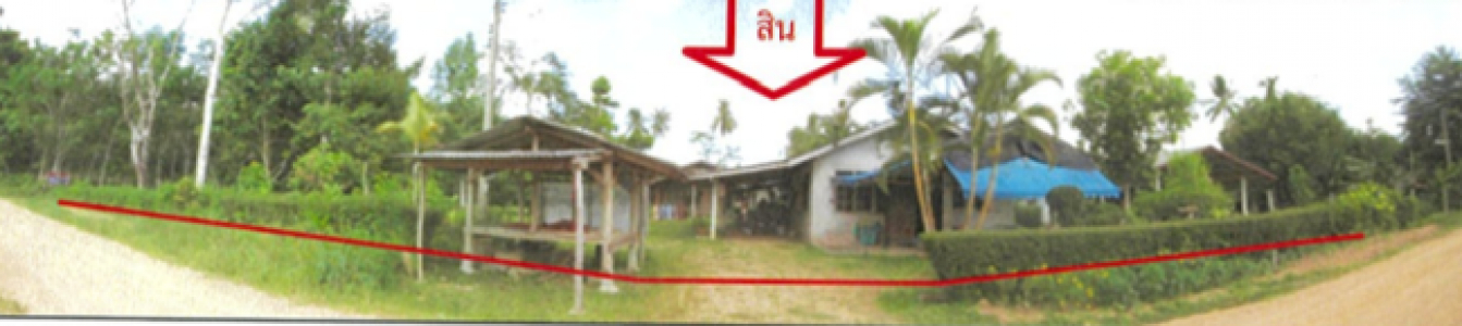 บ้านเดี่ยว 1 ชั้น ถ.บ้านควนออก-บ้านลอน พัทลุง 244 ตร.ว.