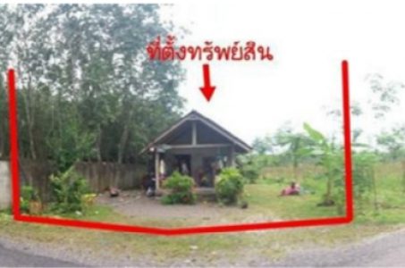 บ้านพักชั้นเดียว ถนนบ้านท่าแร่-บ้านมะขาม แยกจาก สายสุราษฎร์-สิชล(401)กม.194+700 เนื้อที่ 80 วา