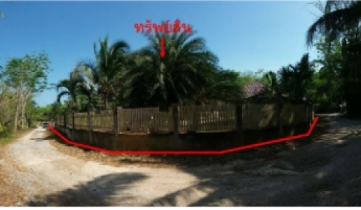 ที่ดินพร้อมส่ิงปลูกสร้าง ถ.สายบ้านหัวควน-บ้านเวียง  ต.ทุ่งหลวง อ.เวียงสระ จ.สุราษฎร์ธานี  เนื้อที่ 4-1-08.1