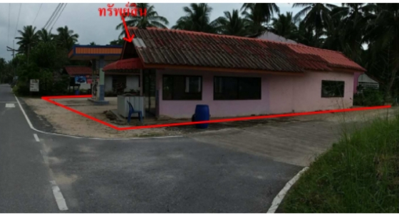 ที่ดินพร้อมสิ่งปลูกสร้าง ถ.ท่าหัน-พังปลิง หมู่ที่ 1  ต.กลาย อ.ท่าศาลา จ.นครศรีธรรมราช  เนื้อที่ 0-3-59.9