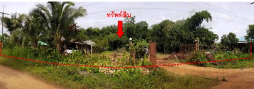 ที่ดินพร้อมสิ่งปลูกสร้าง ซ.ทุ่งส้ม 5 ถ.เลียบคลองชลประทาน(สข.5057)   ต.คลองหลา อ.คลองหอยโข่ง จ.สงขลา เนื้อที่ 1-0-10.1