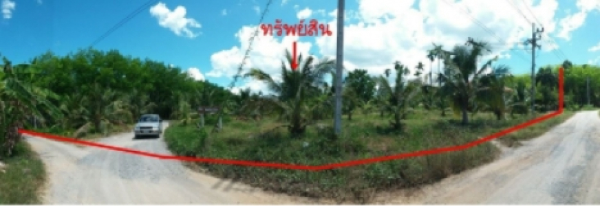 ที่ดินพร้อมสิ่งปลูกสร้าง ซ.ป้าสิริ ถ.สามแยกต้นโพธิ์-แม่โมกข์  ต.กรูด อ.กาญจนดิษฐ์ จ.สุราษฎร์ธานี เนื้อที่ 15-2-30