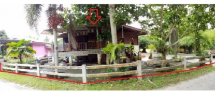 บ้านเดี่ยว ซ.ประชาร่วมใจ ถ.รักษ์นรกิจ  101 ต.ตลาดไชยา อ.ไชยา จ.สุราษฎร์ธานี เนื้อที่ 0-1-81.6
