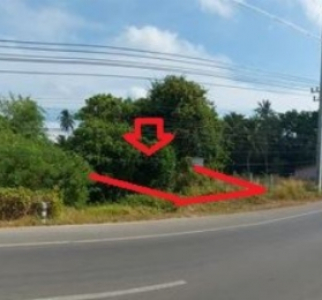 ที่ดินเปล่า หมู่บ้าน/โครงการ ถนน เพชรเกษม(ทล.4) ตําบลวังมะปรางเหนือ อําเภอวังวิเศษ จังหวัดตรัง เนื้อที่ 0-1-06