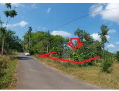 ที่ดินว่างเปล่า หมู่บ้าน/โครงการ ซอย เทศบาล 4 แยกจาก ถนน เพชรเกษม(ทล.4) ตําบลวังมะปรางเหนือ อําเภอวังวิเศษ จังหวัดตรัง เนื้อที่ 0-1-35
