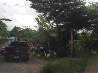 บ้านเดี่ยว ขนาด 63 ตร.วา ถ.บ้านกล้วย-ไทรน้อย