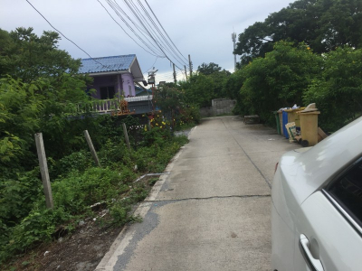 บ้านเดี่ยว ขนาด 63 ตร.วา ถ.บ้านกล้วย-ไทรน้อย
