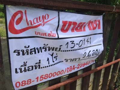 บ้านเดี่ยว ขนาด 400 ตร.วา ถ.เลียบคลอง 3 ขายแล้ว 2.60 บาท ฝ่ายละกึ่งหนึ่ง