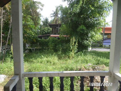 บ้านเดี่ยว อ.ปกภาร เนื้อที่ 210 ตร.ว