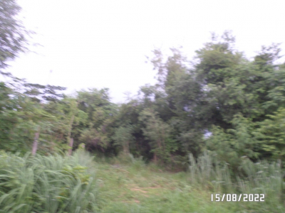 ที่ดินเปล่า ถ.เทศบาล 14(สุดบรรทัด) เนื้อที่ 2-1-07 ไร่