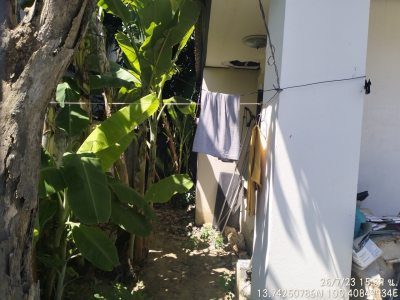 บ้านเดี่ยว 2 ชั้น โครงการเดอะเลกาซี่-ปิ่นเกล้า ซอย 7 เนื้อที่ 50.5 ตร.ว.