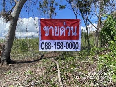 ที่ดินเปล่า ติดถนนเพชรเกษม ชะอำ เพชรบุรี