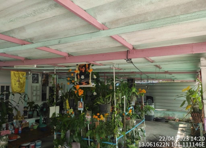 บ้านเดี่ยว เมืองเจริญ 2 -บ้านเดี่ยวชั้นเดียว เนื้อที่ 60.20 ตร.ว