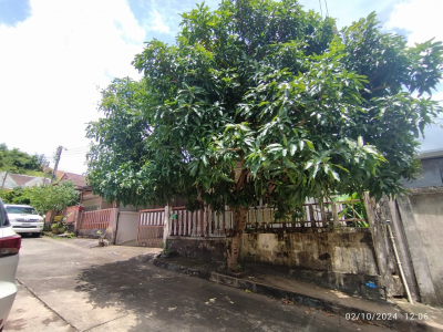 บ้านแฝด หมู่บ้าน/โครงการ เทพบุรี(รัษฎานุรรณ์) ซอย เทพบุรีซ.5 ถนน รัษฎานุสรณ์ตําบลรัษฎา อําเภอเมือง จังหวัดภูเก็ต เนื้อที่ 35.3 วา