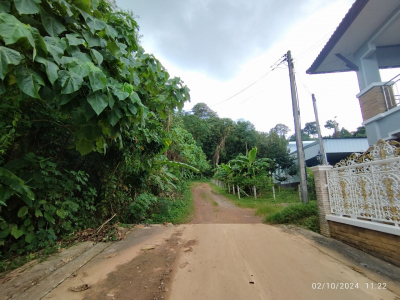 บ้านแฝด  2 ชั้น ถ.รัษฎานุสรณ์  ภูเก็ต 33.4 ตร.ว.
