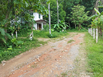 บ้านแฝด  2 ชั้น ถ.รัษฎานุสรณ์  ภูเก็ต 33.4 ตร.ว.