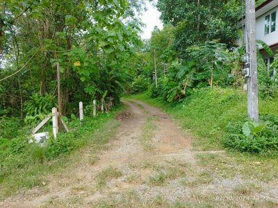 บ้านแฝด  2 ชั้น ถ.รัษฎานุสรณ์  ภูเก็ต 33.4 ตร.ว.