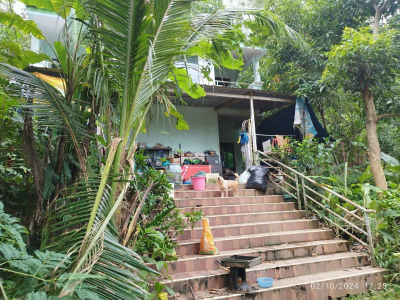 บ้านแฝด  2 ชั้น ถ.รัษฎานุสรณ์  ภูเก็ต 33.4 ตร.ว.