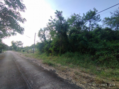 ที่ดินเปล่า ขนาด 337 ตร.ว. ถ.ประชาร่วมใจ