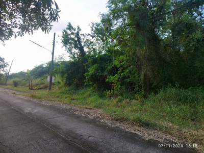 ที่ดินเปล่า ขนาด 337 ตร.ว. ถ.ประชาร่วมใจ