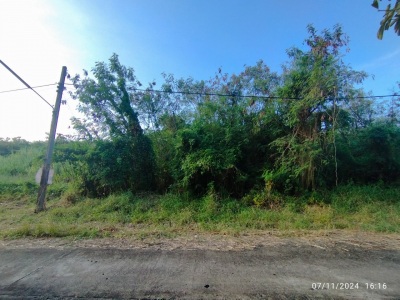 ที่ดินเปล่า ขนาด 337 ตร.ว. ถ.ประชาร่วมใจ