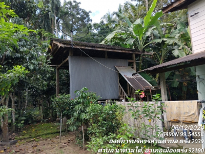 ที่ดินพร้อมสิ่งปลูกสร้าง ซ.สายบ้านวังม่วง-บ้านท่าสะบ้า ถ.สายคลองเต็ง-เขาวิเศษ(4158)  ต.นาท่ามใต้ อ.เมืองตรัง จ.ตรัง เนื้อที่ 2-2-03.8