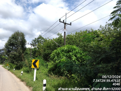 ที่ดินว่างเปล่า ซ.ถนนสายห้วยน้ำดำ-หนองไม้ไผ่ ถ.สายตรัง-สิเกา (4046)   ต.นาเมืองเพชร อ.สิเกา จ.ตรัง เนื้อที่ 12-3-25.1