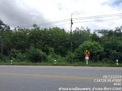 ที่ดินว่างเปล่า ซ.ถนนสายห้วยน้ำดำ-หนองไม้ไผ่ ถ.สายตรัง-สิเกา (4046)   ต.นาเมืองเพชร อ.สิเกา จ.ตรัง เนื้อที่ 12-3-25.1
