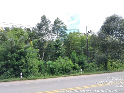 ที่ดินว่างเปล่า ซ.ถนนสายห้วยน้ำดำ-หนองไม้ไผ่ ถ.สายตรัง-สิเกา (4046)   ต.นาเมืองเพชร อ.สิเกา จ.ตรัง เนื้อที่ 12-3-25.1