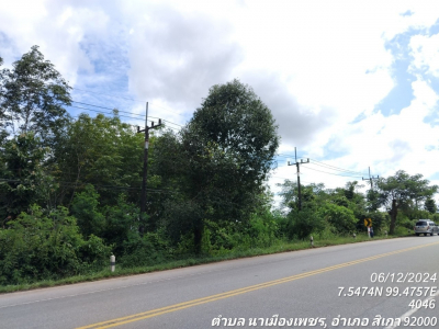 ที่ดินว่างเปล่า ซ.ถนนสายห้วยน้ำดำ-หนองไม้ไผ่ ถ.สายตรัง-สิเกา (4046)   ต.นาเมืองเพชร อ.สิเกา จ.ตรัง เนื้อที่ 12-3-25.1