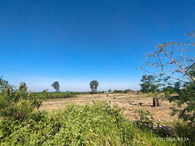 ที่ดิน ติดอ่างเก็บน้ำห้วยสะพาน ต.บึง อ.ศรีราชา ชลบุรี เนื้อที่ 27-3-86 ไร่