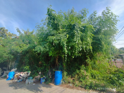 บ้านเดี่ยว 2 ชั้น หมู่บ้านบุรีรมย์ ถนนประชาอุทิศ(บางมด) กรุงเทพฯ 216 ตร.ว.