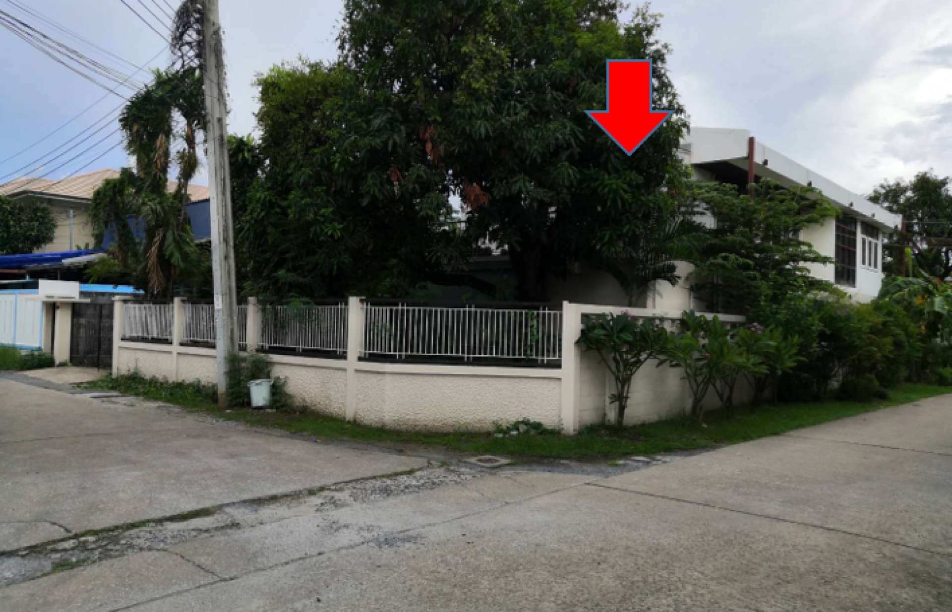 บ้านเดี่ยว 2 ชั้น (หัวมุมซอย) ซอยพัฒนเวศม์4 พระโขนง จ.กรุงเทพ 109 ตร.ว.