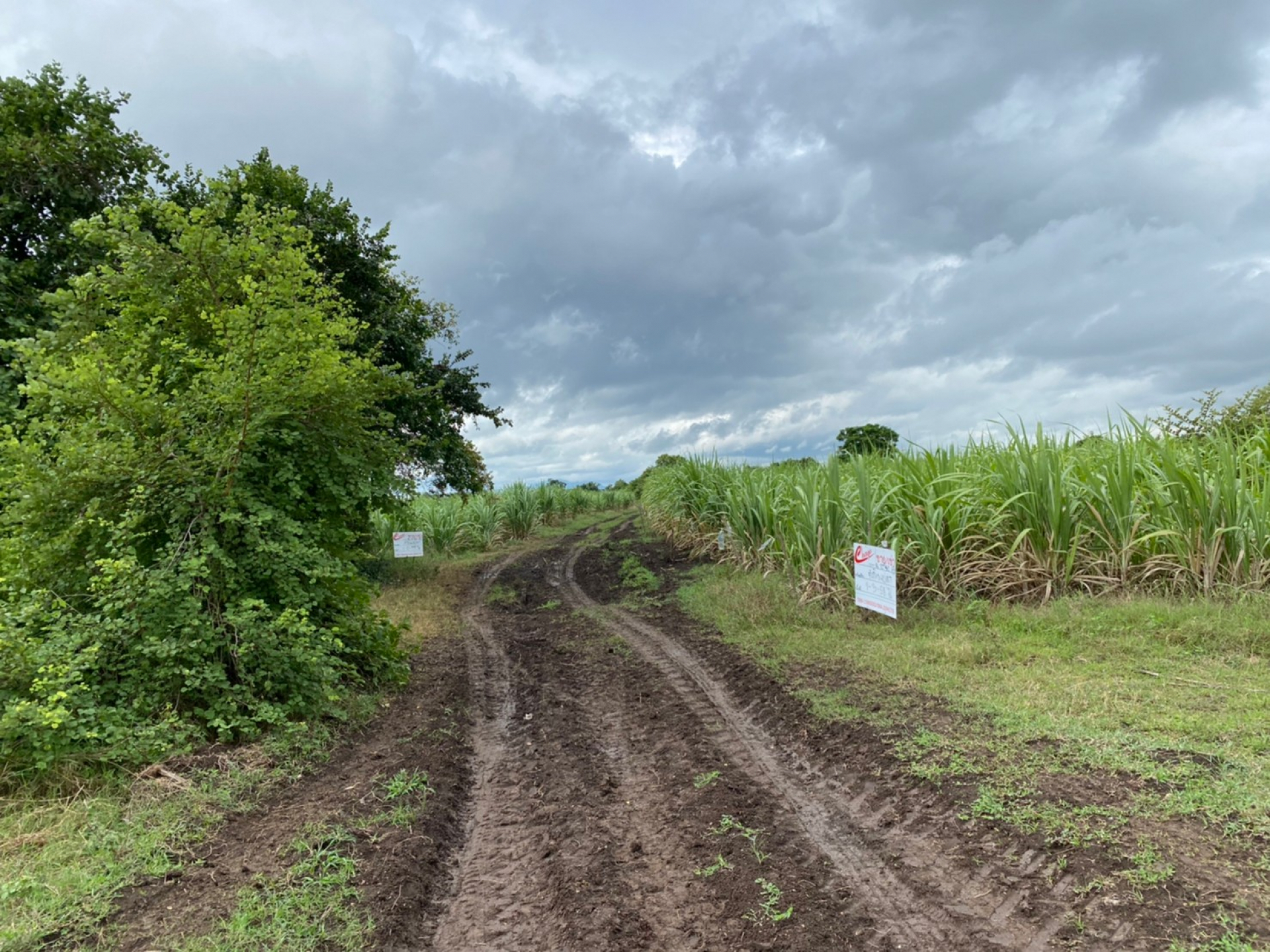 ที่ดินเปล่า คก.เขาพลวง การ์เด้นท์ รีสอร์ท เนื้อที่ 1-2-99 ไร่