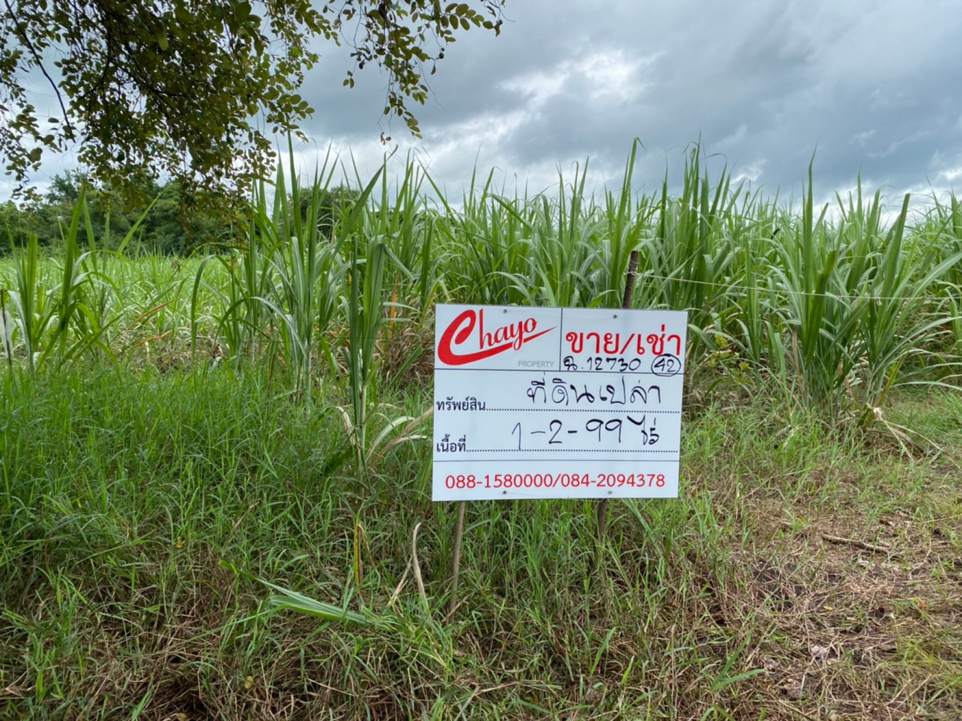 ที่ดินเปล่า คก.เขาพลวง การ์เด้นท์ รีสอร์ท เนื้อที่ 1-2-99 ไร่