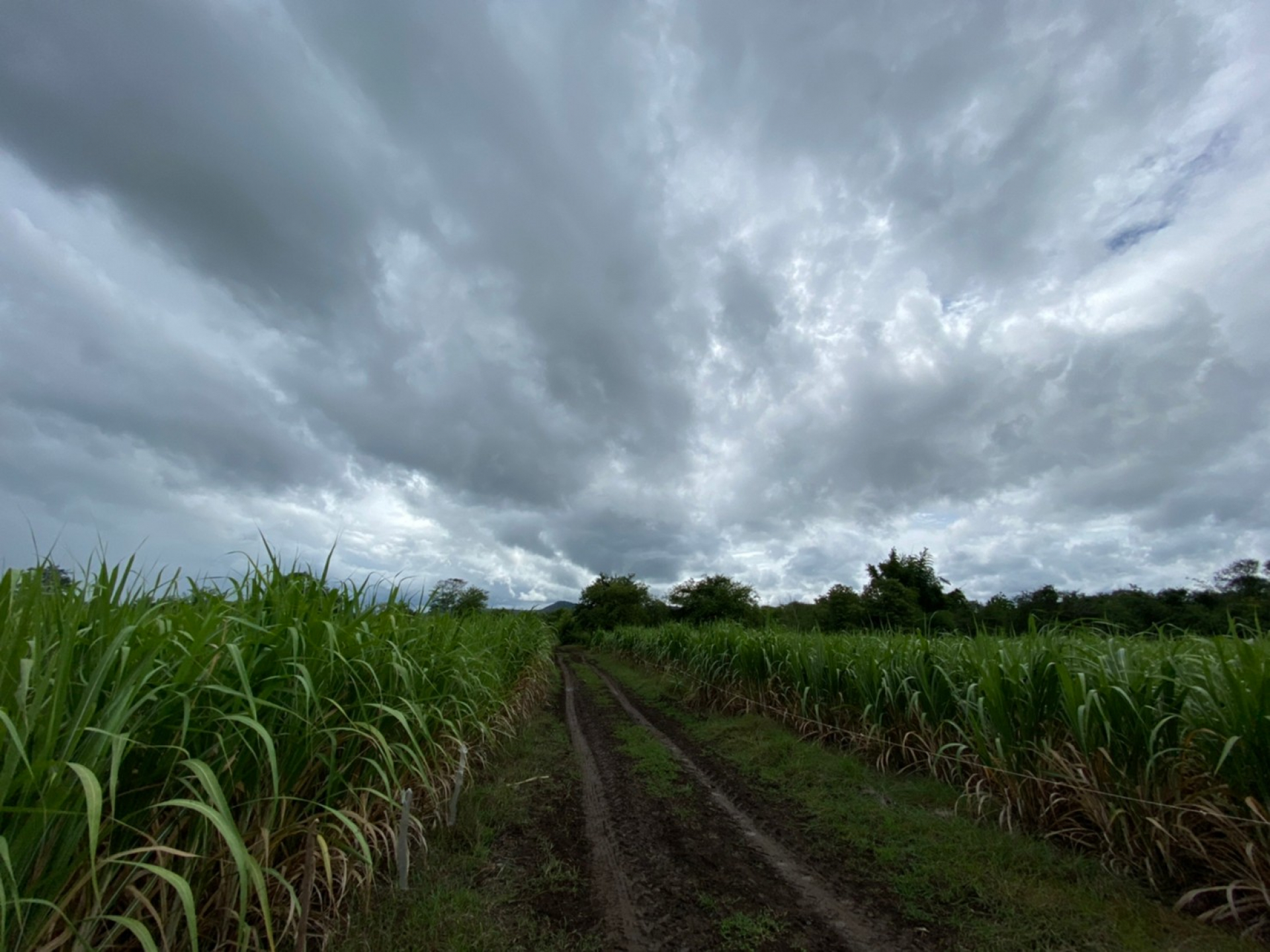 ที่ดินเปล่า คก.เขาพลวง การ์เด้นท์ รีสอร์ท เนื้อที่ 1-2-99 ไร่