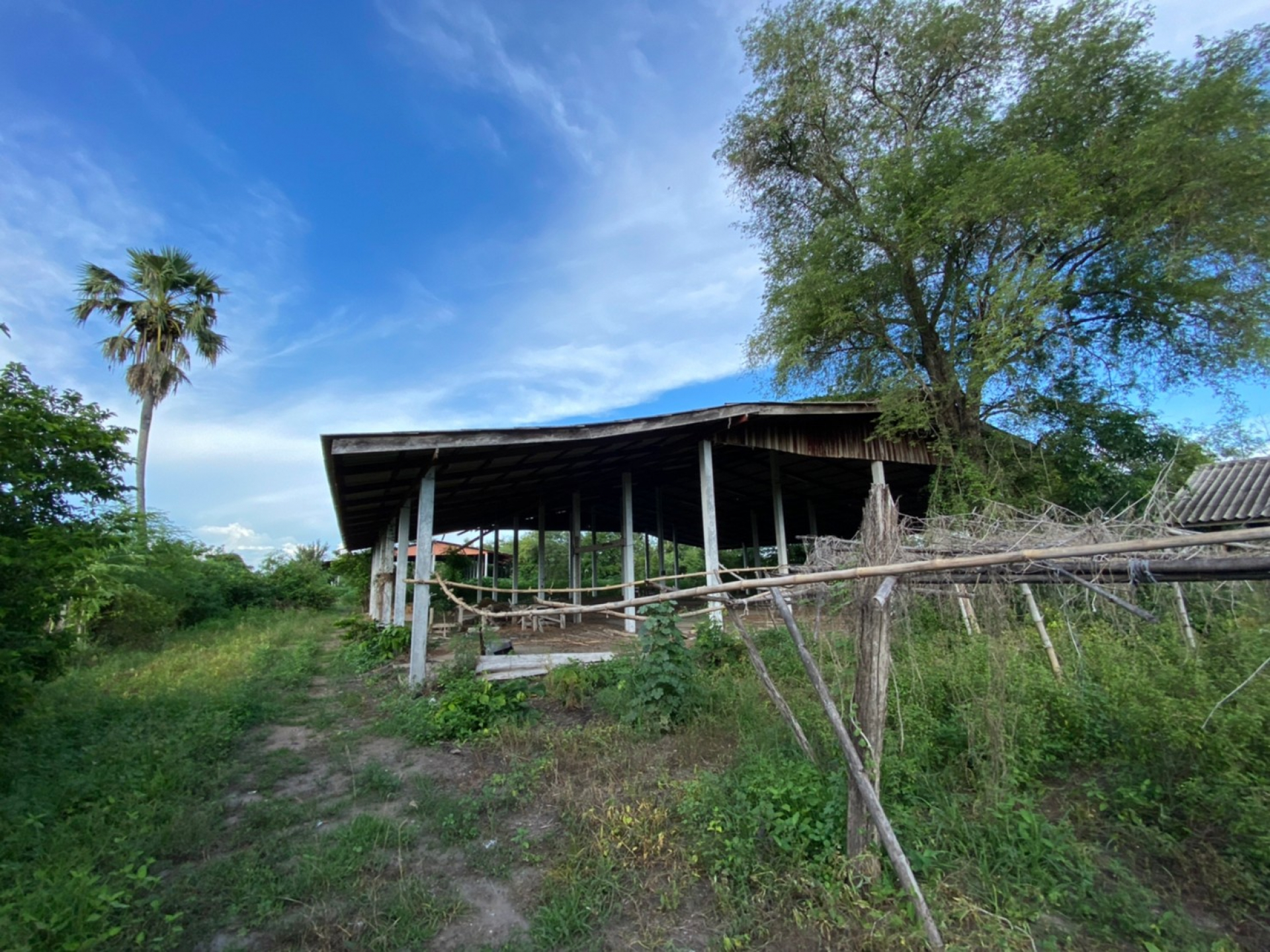 โรงงาน จ.นครสวรรค์ เนื้อที่ 3-2-44 ไร่