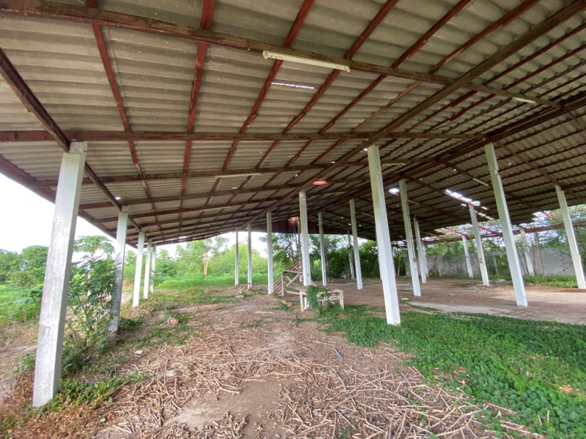 โรงงาน จ.นครสวรรค์ เนื้อที่ 3-2-44 ไร่