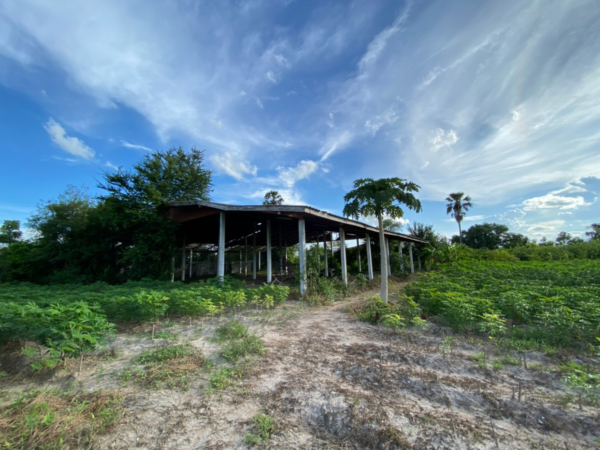 โรงงาน จ.นครสวรรค์ เนื้อที่ 3-2-44 ไร่