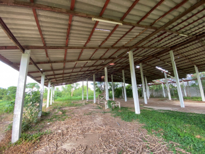 โรงงาน จ.นครสวรรค์ เนื้อที่ 3-2-44 ไร่