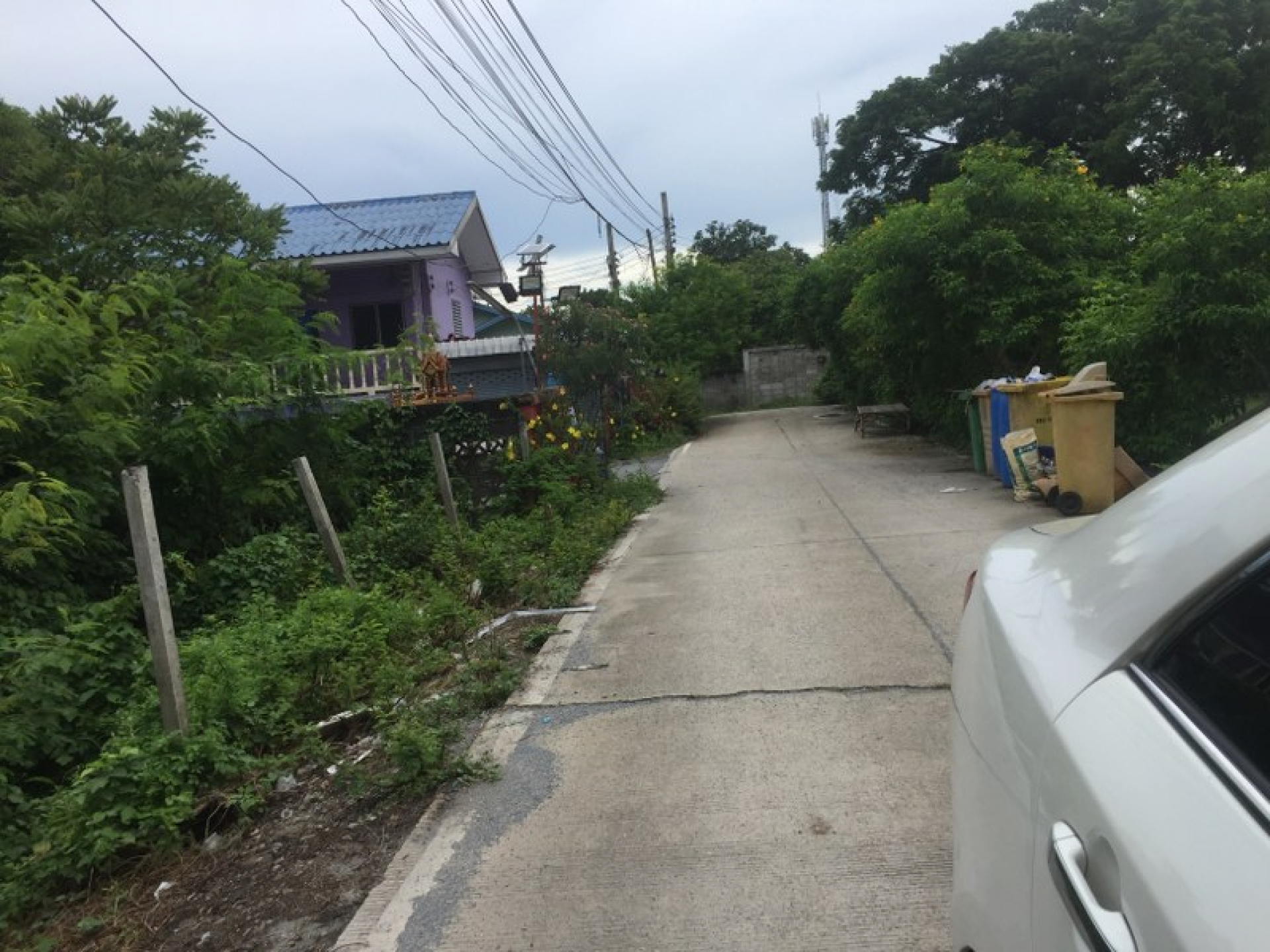 บ้านเดี่ยว ขนาด 63 ตร.วา ถ.บ้านกล้วย-ไทรน้อย