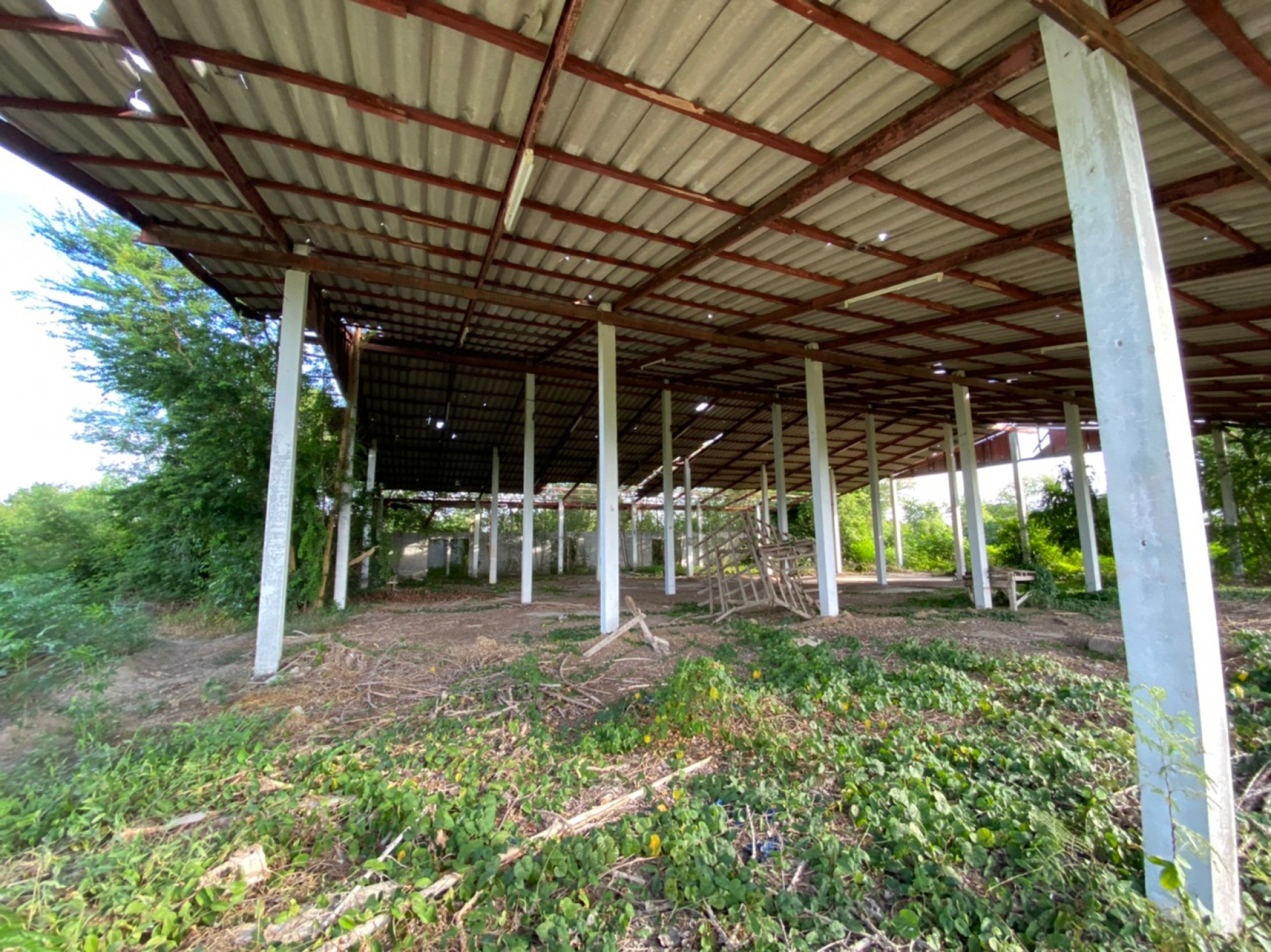 โรงงาน จ.นครสวรรค์ เนื้อที่ 3-2-44 ไร่