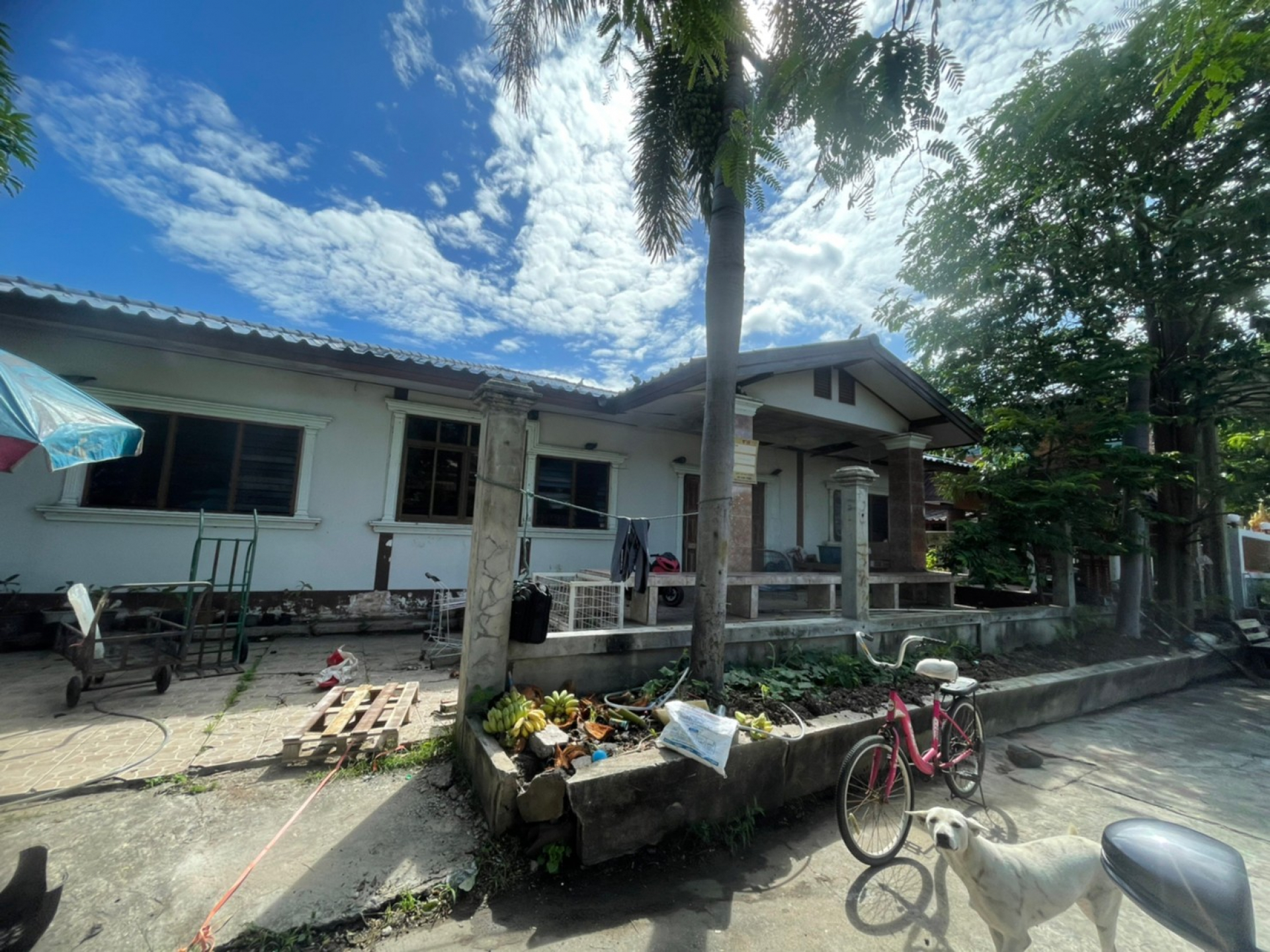 บ้านเดี่ยว คก.สวนเอก เนื้อที่ 131.4 ตร.ว