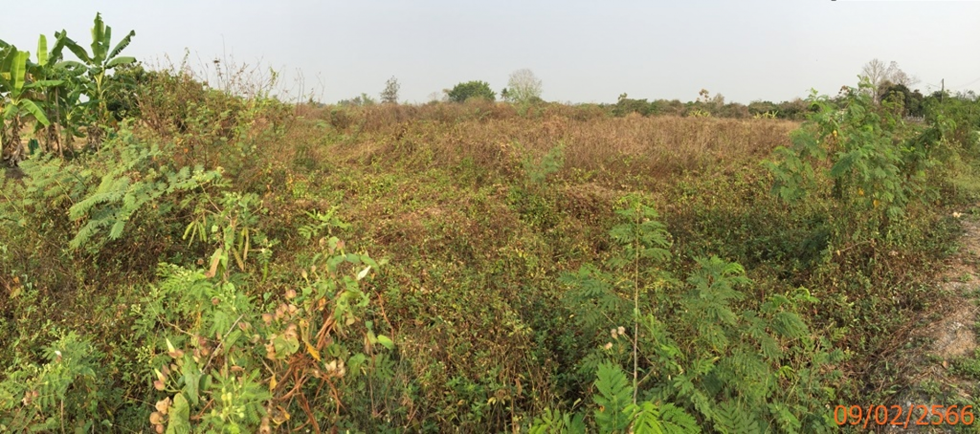 ที่ดินเปล่า 3 แปลง อ.สารภี จ.เชียงใหม่ 8ไร่ เศษ