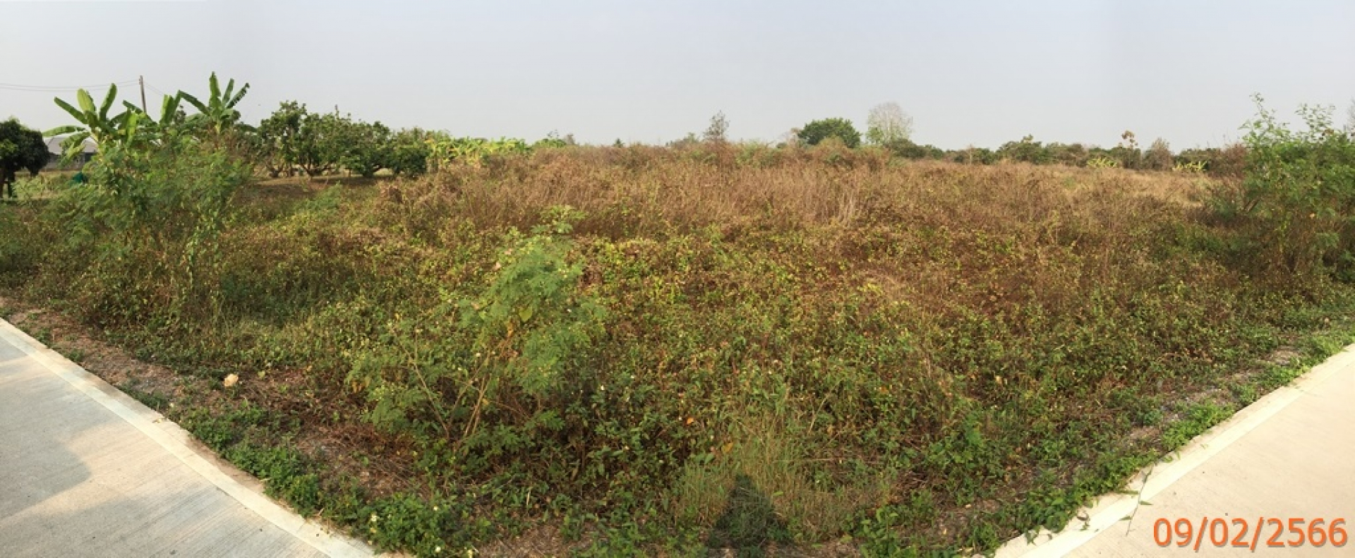 ที่ดินเปล่า 3 แปลง อ.สารภี จ.เชียงใหม่ 8ไร่ เศษ