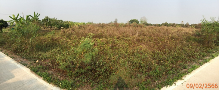 ที่ดินเปล่า 3 แปลง อ.สารภี จ.เชียงใหม่ 8ไร่ เศษ