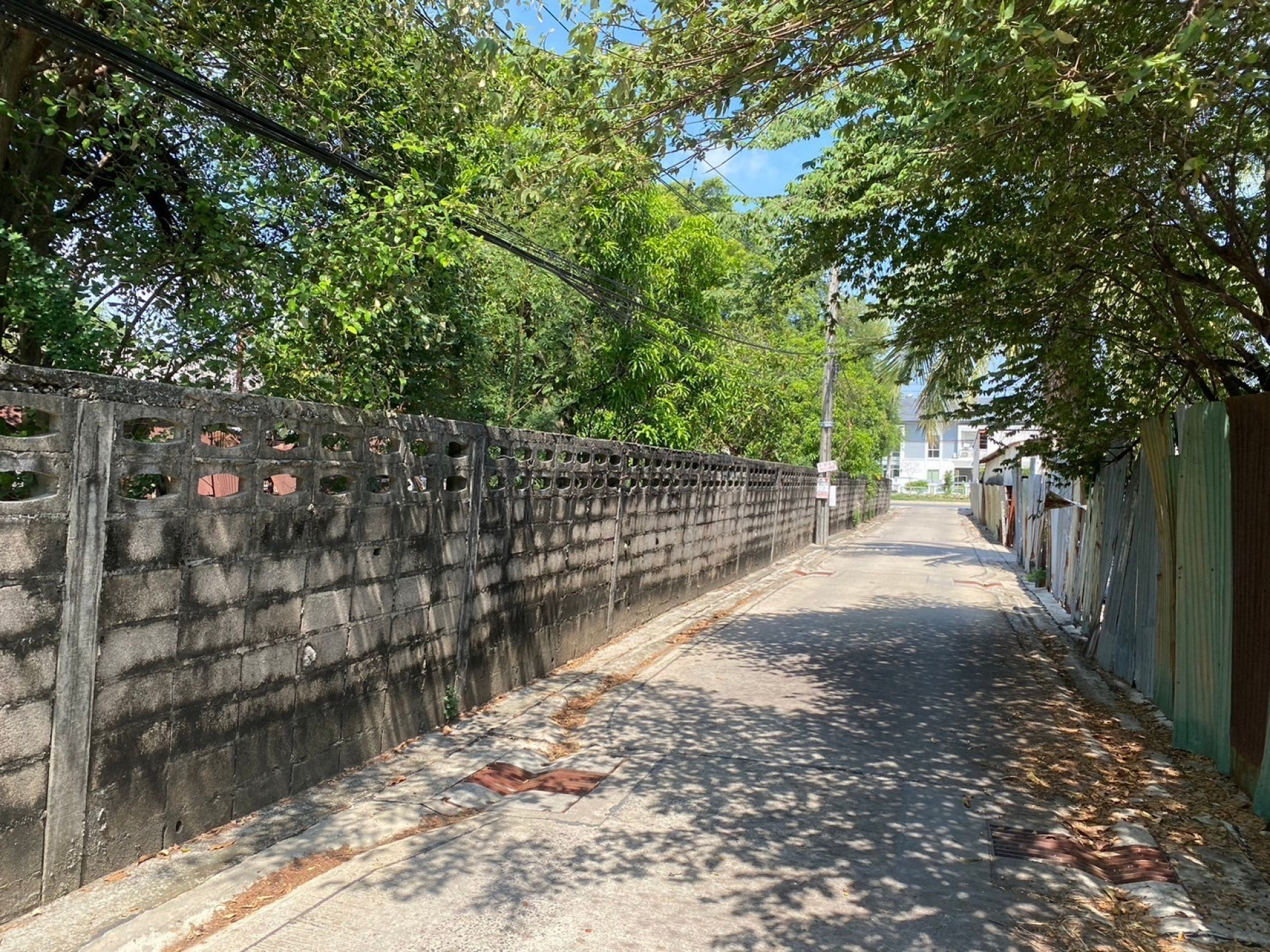 ที่ดินเปล่า ถนนสามวา (สัดส่วนกรรมสิทธิ์ 99.78%) 2ไร่