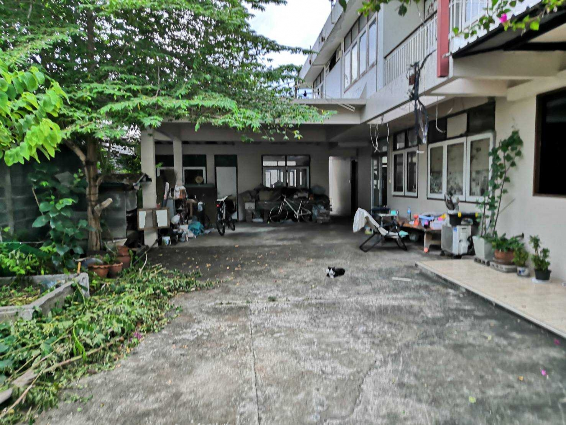 บ้านเดี่ยว 2 ชั้น (หัวมุมซอย) ซอยพัฒนเวศม์4 พระโขนง จ.กรุงเทพ 109 ตร.ว.