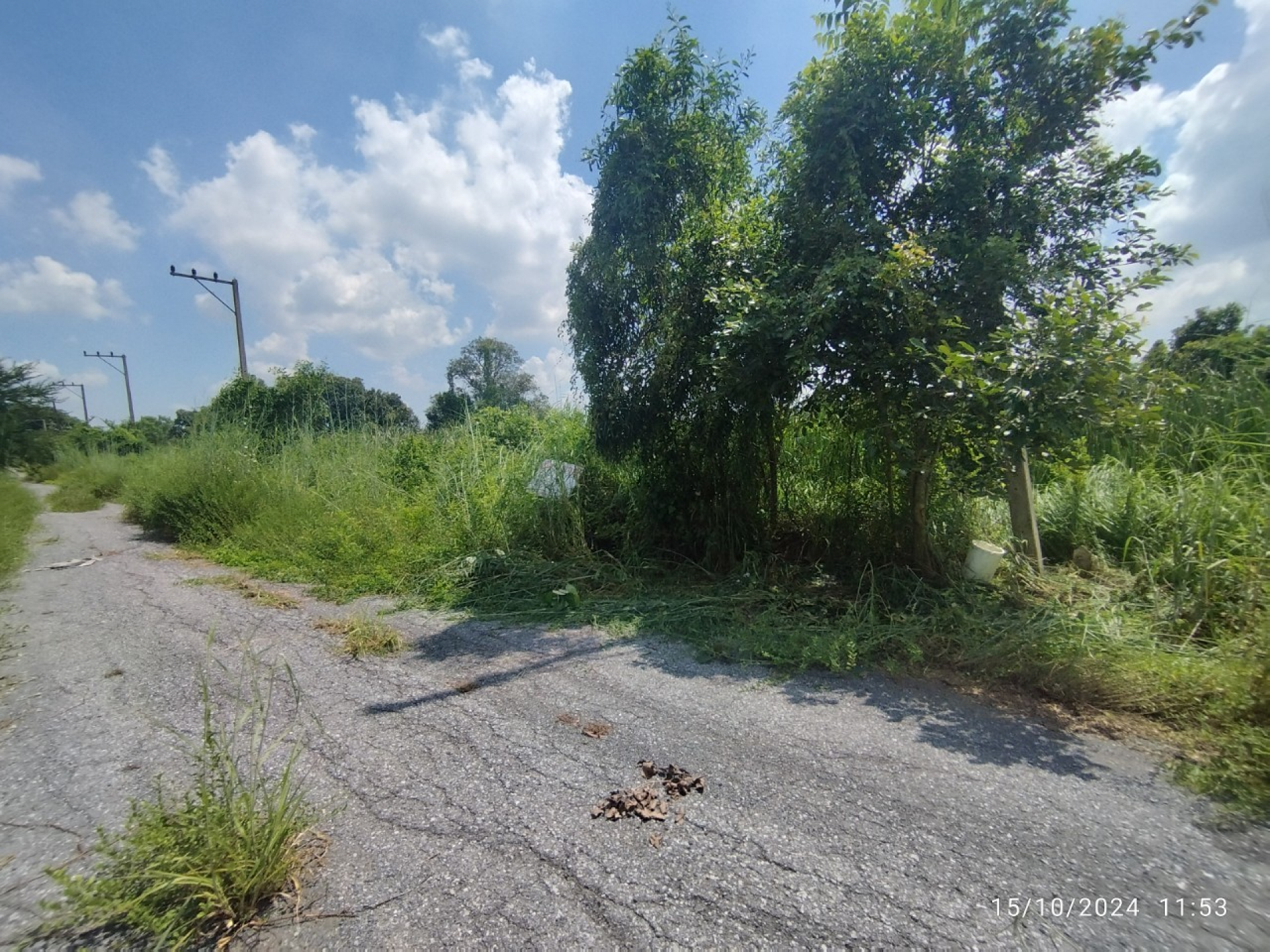 ที่ดินเปล่า เลียบคลอง 13 ฝั่งตะวันตก เนื้อที่ 0-1-02 ไร่